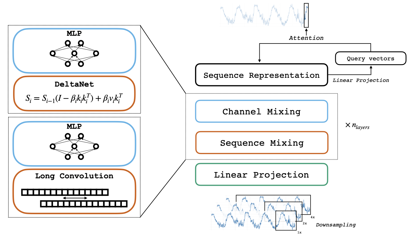Reverso architecture with multi-scale input channels, alternating long convolution and DeltaNet blocks, and an attention decoder.
